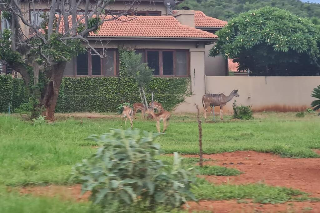 66 Sharalumbi Wildlife Estate Appartement Lydenburg Buitenkant foto