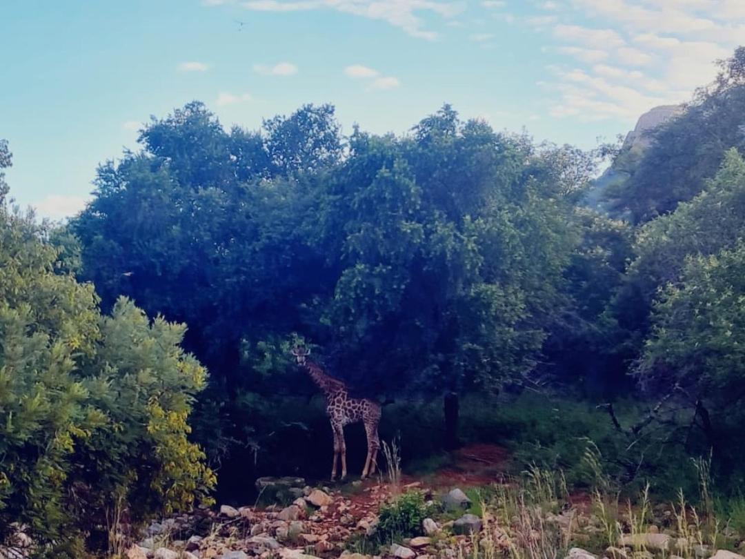 66 Sharalumbi Wildlife Estate Appartement Lydenburg Buitenkant foto