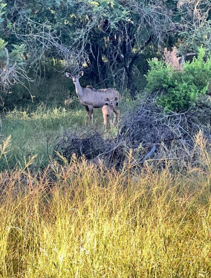 66 Sharalumbi Wildlife Estate Appartement Lydenburg Buitenkant foto