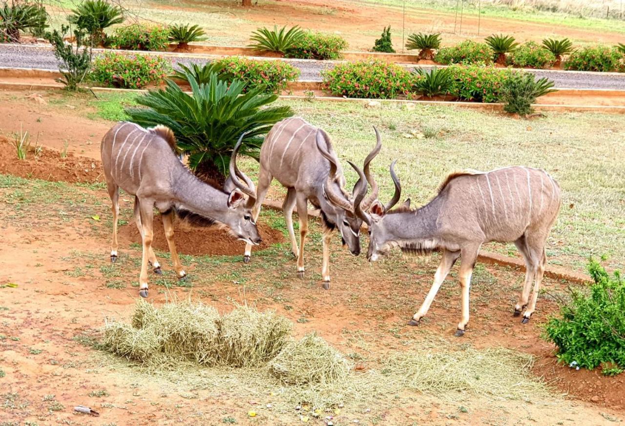 66 Sharalumbi Wildlife Estate Appartement Lydenburg Buitenkant foto